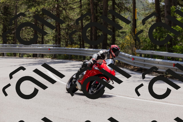 202506151320-_04A3203_c3_