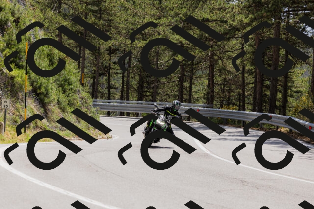 202506151320-_04A3207_c3_