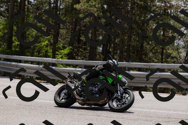 202506151320-_04A3209_c3_