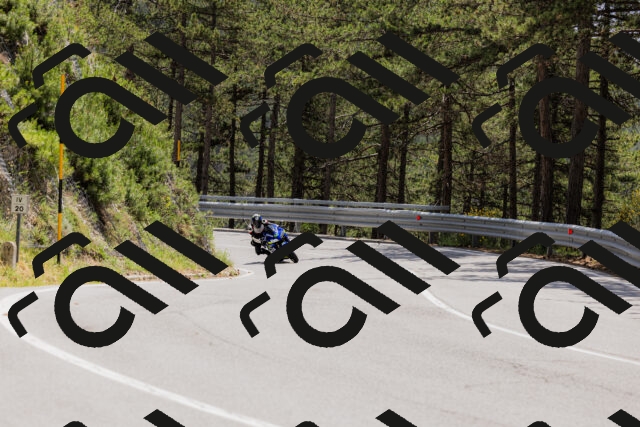 202506151321-_04A3219_c3_