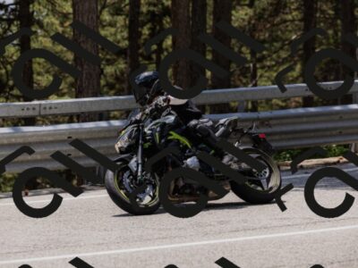 202506151325-_04A3267_c3_