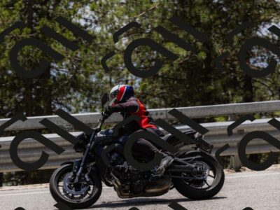 202506151341-_04A3366_c3_