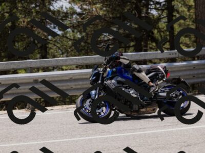 202506151345-_04A3383_c3_