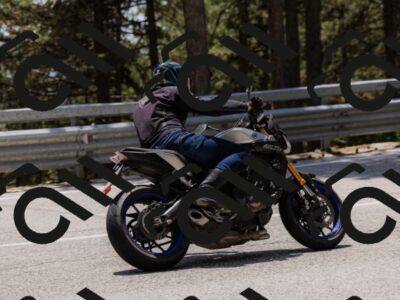 202506151352-_04A3415_c3_