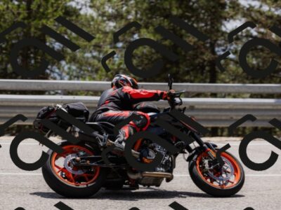 202506151356-_04A3451_c3_