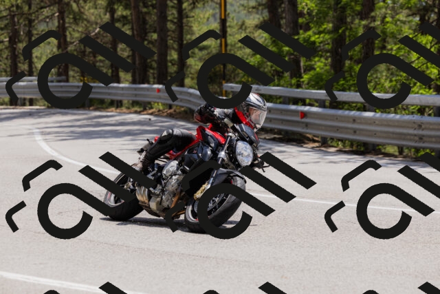 202506151400-_04A3473_c3_