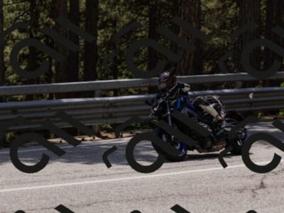 202506151406-_04A3524_c3_