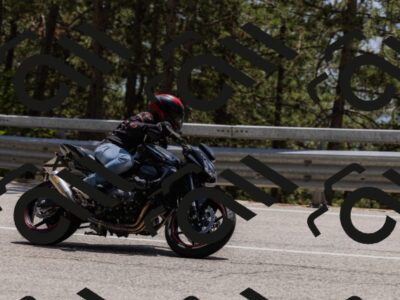 202506151407-_04A3542_c3_