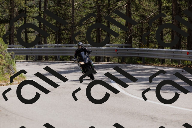 202506151418-_04A3586_c3_