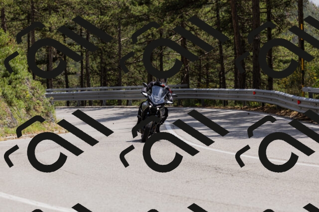 202506151419-_04A3596_c3_