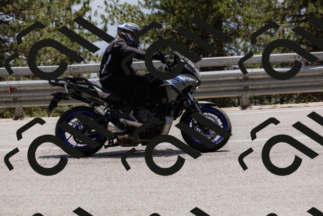 202506151419-_04A3597_c3_