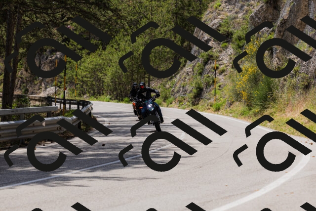 202506151419-_04A3598_c3_