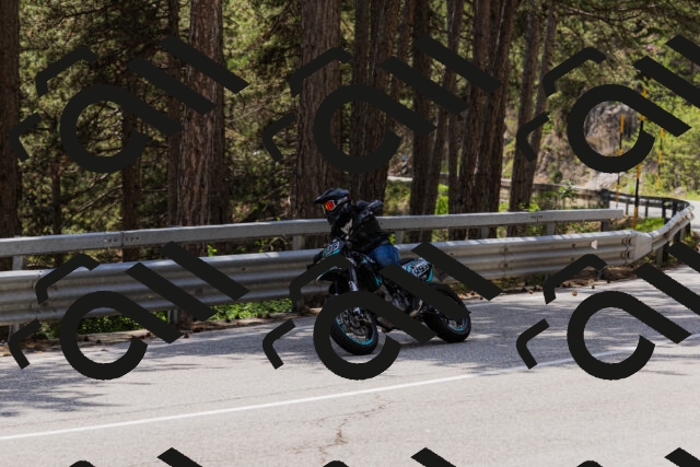 202506151419-_04A3599_c3_