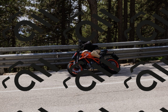 202506151419-_04A3601_c3_