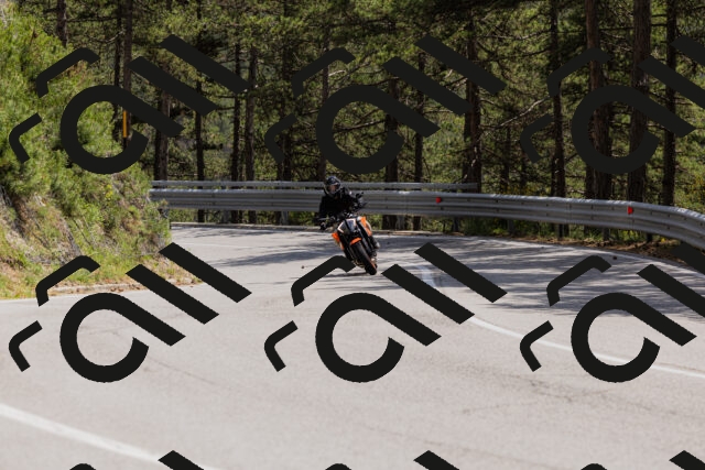 202506151420-_04A3604_c3_