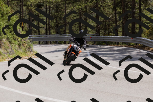 202506151420-_04A3605_c3_