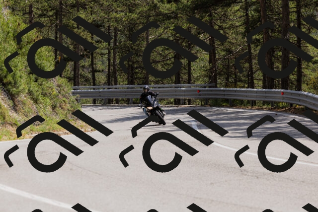 202506151420-_04A3610_c3_