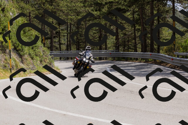 202506151422-_04A3619_c3_