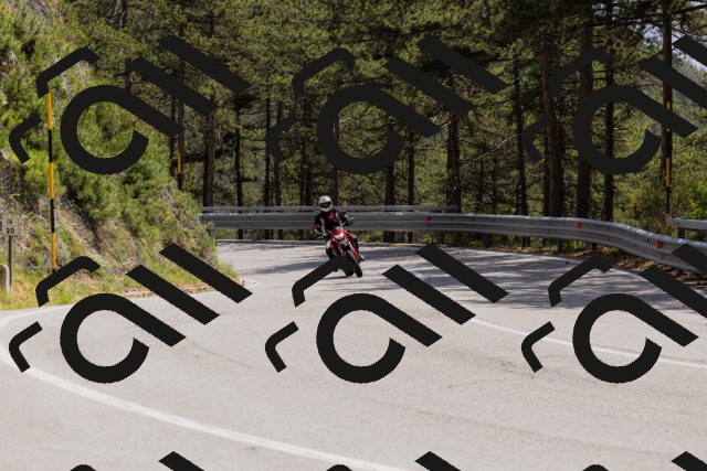 202506151422-_04A3621_c3_