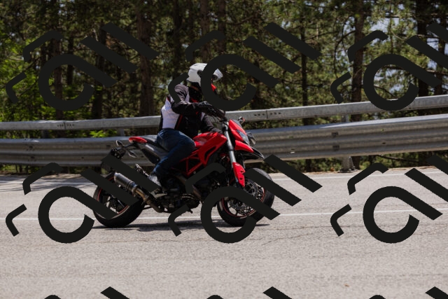 202506151422-_04A3623_c3_