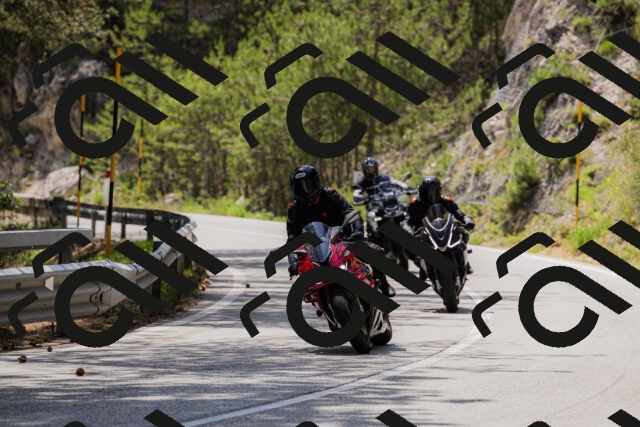 202506151430-_04A3661_c3_