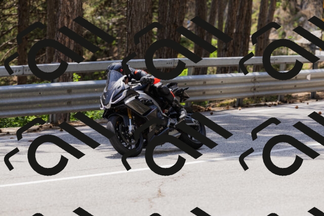 202506151430-_04A3663_c3_