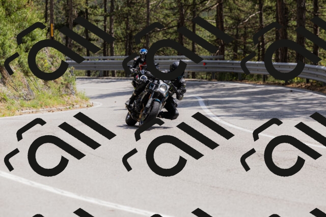 202506151433-_04A3684_c3_