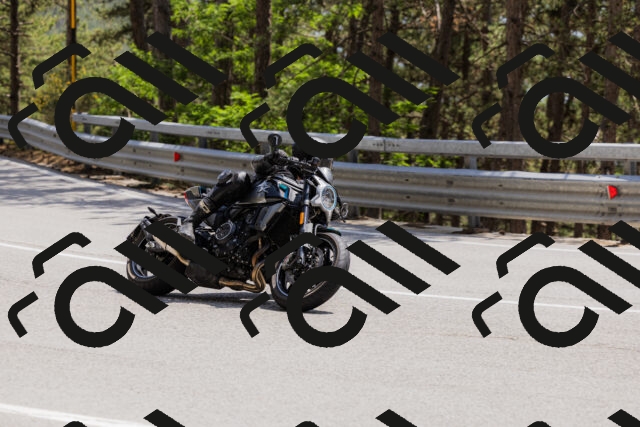 202506151433-_04A3685_c3_