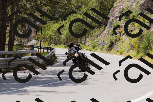 202506151437-_04A3720_c3_