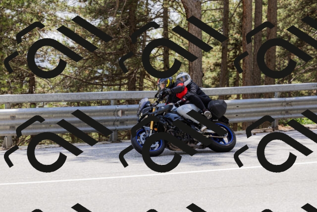 202506151446-_04A3760_c3_