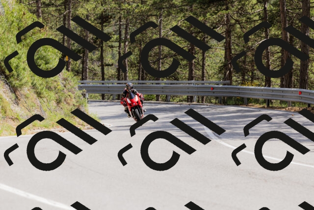 202506151455-_04A3774_c3_