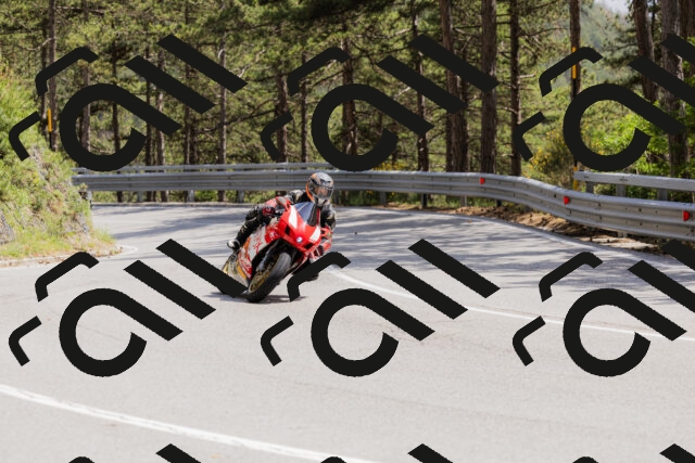 202506151455-_04A3776_c3_