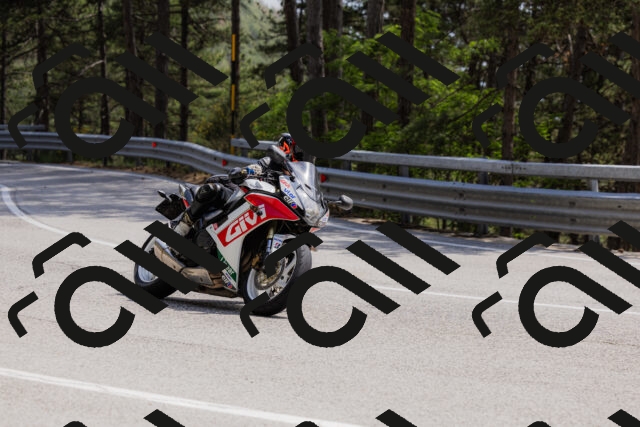 202506151456-_04A3783_c3_