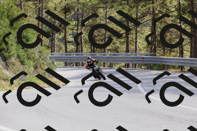 202506151458-_04A3786_c3_