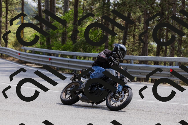 202506151458-_04A3793_c3_