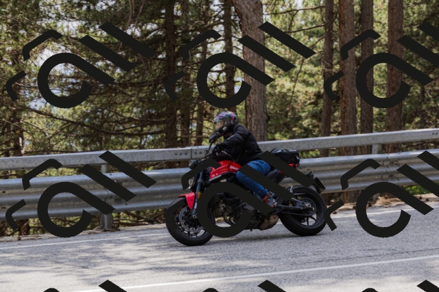 202506151541-_04A4050_c3_