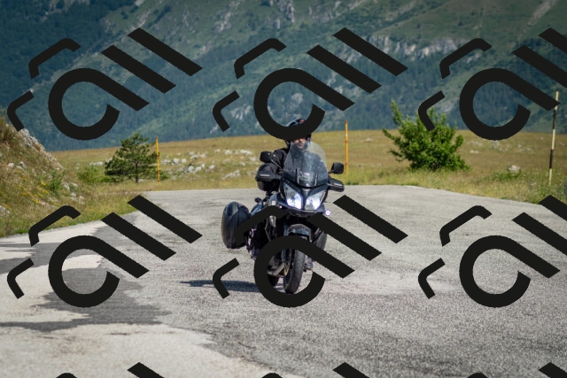 202506151020-DSC_9495_c2