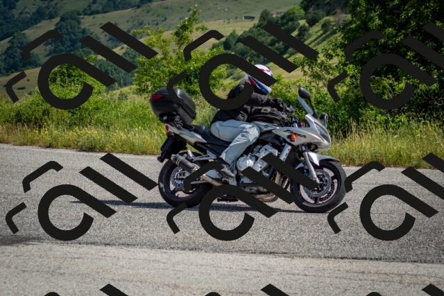 202506151021-DSC_9503_c2