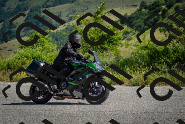 202506151021-DSC_9505_c2