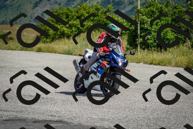 202506151027-DSC_9520_c2