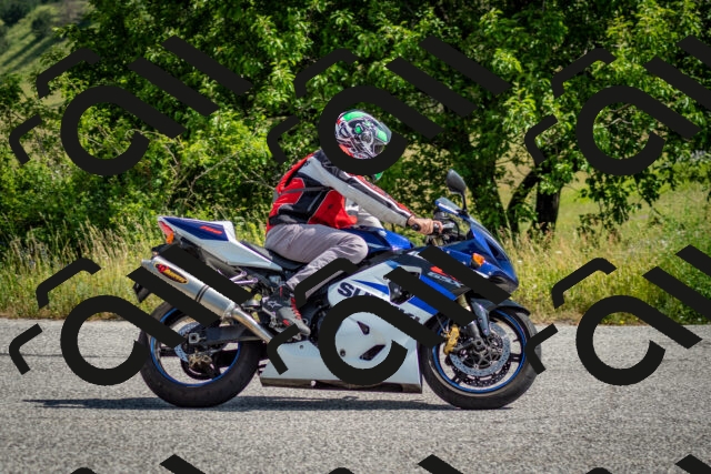 202506151027-DSC_9521_c2