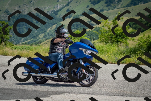 202506151037-DSC_9606_c2