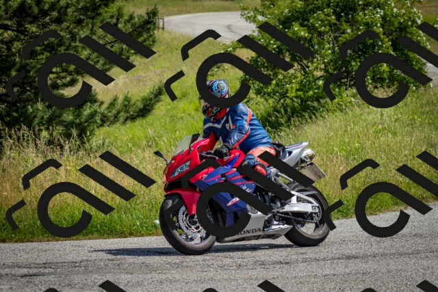 202506151046-DSC_9668_c2