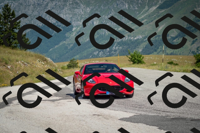 202506151048-DSC_9681_c2