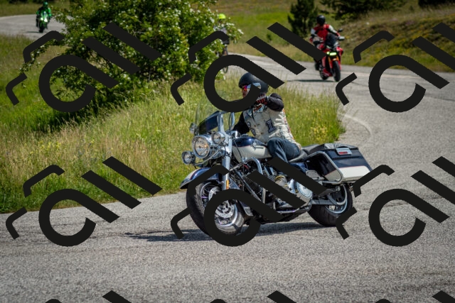 202506151101-DSC_9736_c2