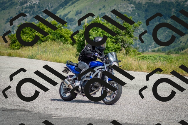 202506151104-DSC_9752_c2