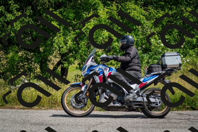 202506151106-DSC_9760_c2