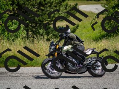 202506151133-DSC_9946_c2