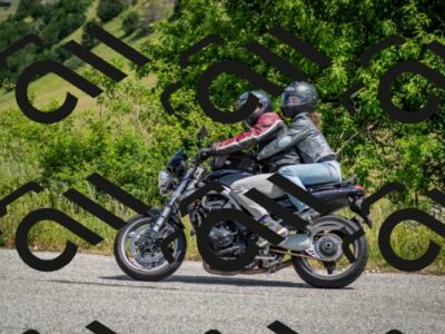 202506151141-DSC_0075_c2