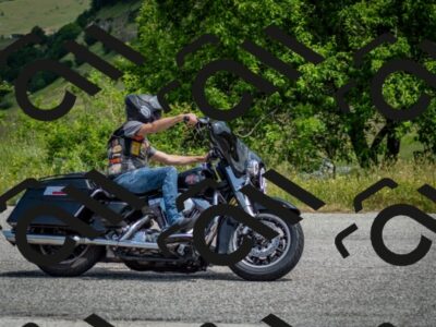 202506151155-DSC_0191_c2